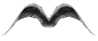 ailes - GIF animate gratis