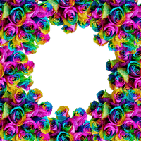 Rainbow Roses Frame (2) - Free PNG