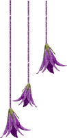 violeta - PNG gratuit