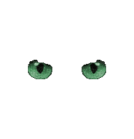 olho - GIF animado grátis