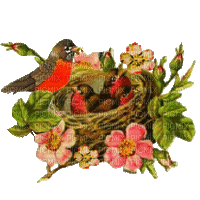 flower,bird,birdhouse - GIF animate gratis