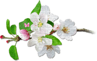 soave deco fruit apple branch flowers spring green - PNG gratuit