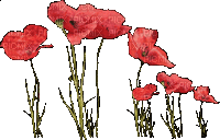 Цветок - Animovaný GIF zadarmo