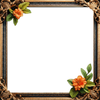 Marco cadre frame - kostenlos png