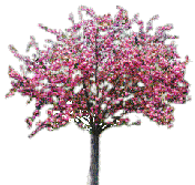 tree-2-NitsaPap - Бесплатни анимирани ГИФ