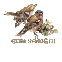 bon samedi oiseaux - 無料のアニメーション GIF