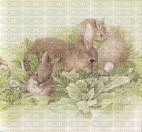 rabbits - PNG gratuit