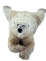 dolceluna polar bear deco fantasy winter cute - Free PNG