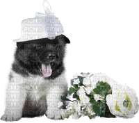 dolceluna dog spring flowers white - PNG gratuit