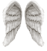 angel wings - png gratis