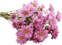 Flowers.Pink.Fleurs.Bouquet.Victoriabea - 無料png