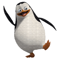 PINGOUIN - GIF animé gratuit