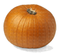 Pumpkin - 免费PNG