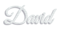 david - PNG gratuit