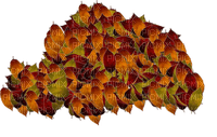 feuilles tas - darmowe png