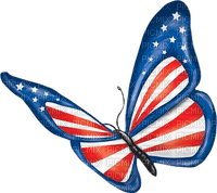 Indepedence Day Usa - Bogusia - PNG gratuit