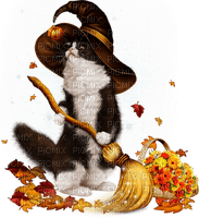 halloween cat by nataliplus - png ฟรี