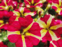 Glitter flowers background spring - Gratis animeret GIF