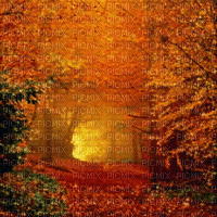 Autumn.Automne.Otoño.Fond.Victoriabea - Bezmaksas animēts GIF