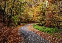 maisema landscape syksy autumn - gratis png