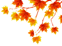 autumn branch by nataliplus - GIF animasi gratis