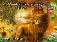 Le lion - bezmaksas png