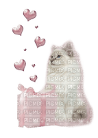 CAT HEARTS GIFT