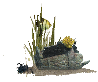 fond beach sea underwater plant - Ücretsiz animasyonlu GIF