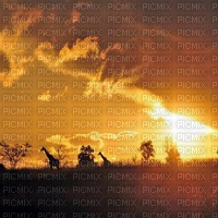 African background sunshine3 - darmowe png
