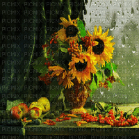 flower background - GIF animé gratuit