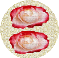 trandafir - Darmowy animowany GIF