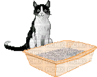 chats - Besplatni animirani GIF