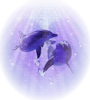 delfin - PNG gratuit