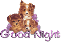 animated-dog-good-night - Nemokamas animacinis gif