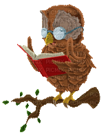 Kaz_Creations Owls Owl Birds Bird - Бесплатни анимирани ГИФ