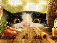 cats bp - GIF animado grátis