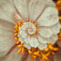 csodás virág - GIF animado gratis