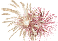 Kaz_Creations Fireworks - 免费PNG