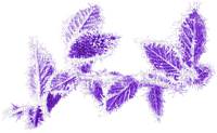 autumn purple leaves automne violet feuilles 🍁 - gratis png