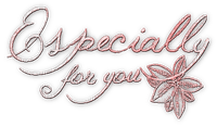 soave text christmas deco especially for you pink - png ฟรี