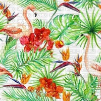 Tropic Background - PNG gratuit