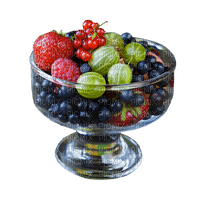 fruits - ücretsiz png