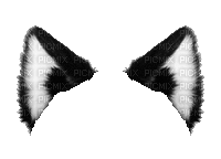 Black cat ears - 無料のアニメーション GIF