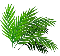 soave deco leaves branch jungle summer green - PNG gratuit