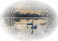 swan lake background vintage - zadarmo png