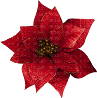 flower of christmas_ Christmas_BlueDREAM 70 - δωρεάν png