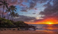 tropical fond bp - 免费PNG