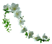 flores colgantes - png gratuito