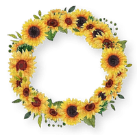 Tournesol.Sunflower.Cadre.Frame.Victoriabea - nemokama png