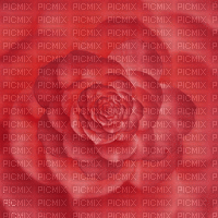 ani-pink flower-496 × 495 - Безплатен анимиран GIF